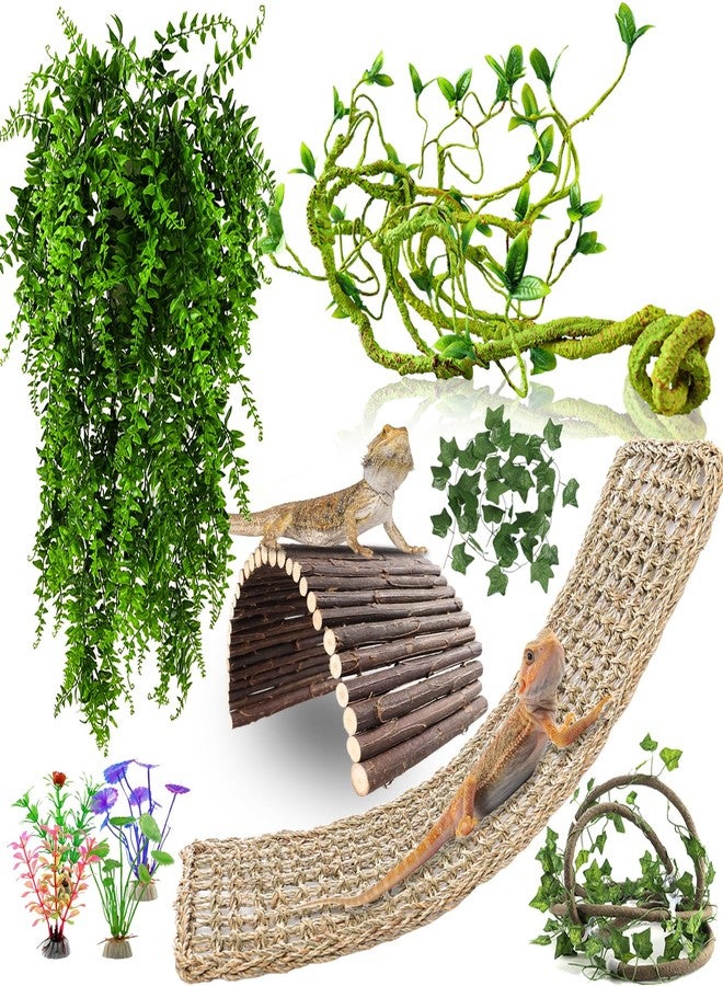مستلزمات حوض التنين الملتحي من رونانيا، 10 قطع من نباتات أرجوحة الزواحف، جسر من الكروم المتسلقة للغابة للثعابين والتنين الملتحي والحرباء والوزغة والسحالي - Image 1